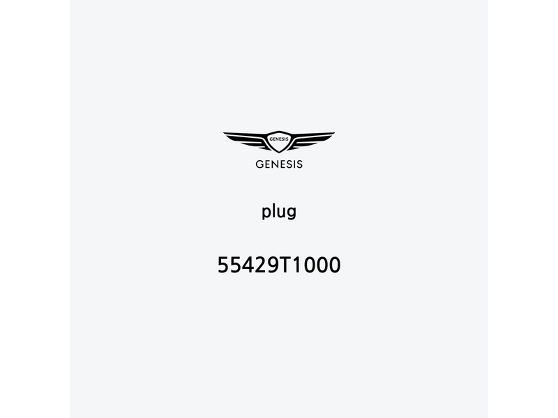 plug-55429t1000-de