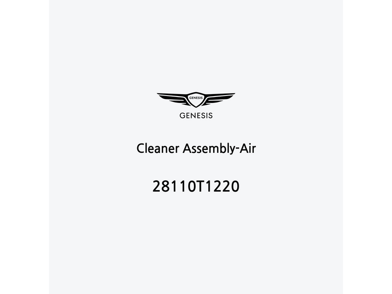 cleaner-assembly-air-28110t1220