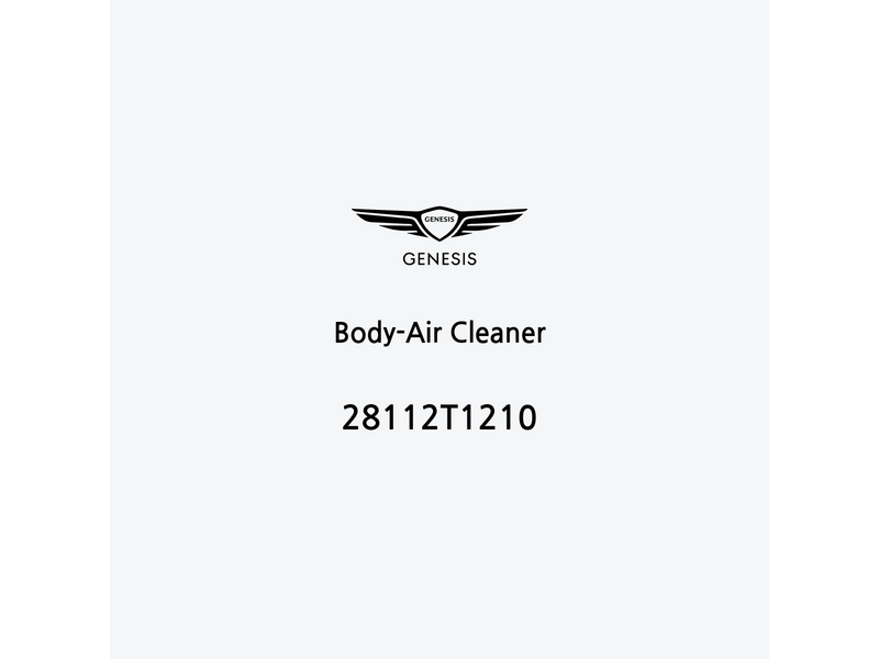 body-air-cleaner-28112t1210-it