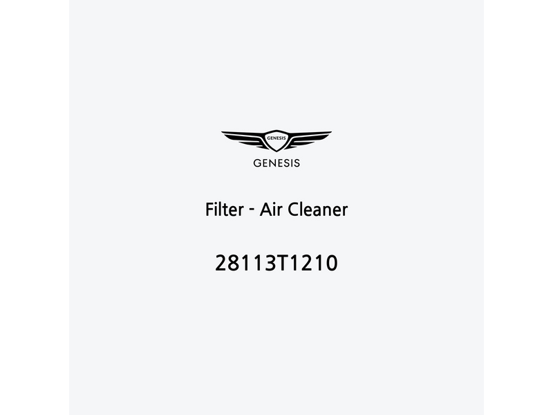 filter-air-cleaner-28113t1210-fr