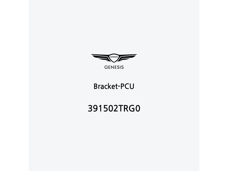 bracket-pcu-391502trg0