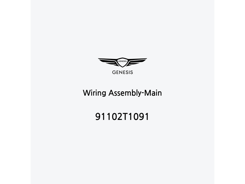 wiring-assembly-main-91102t1091-it