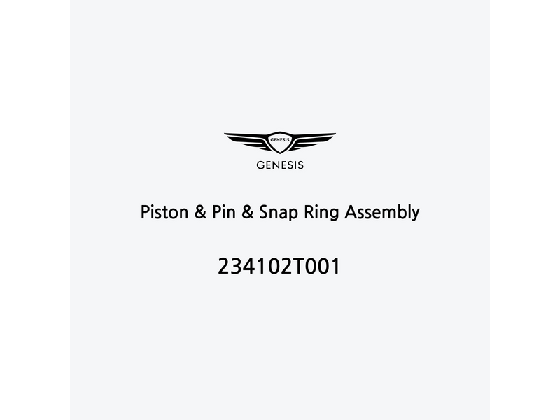 piston-and-pin-and-snap-ring-assembly-234102t001-es