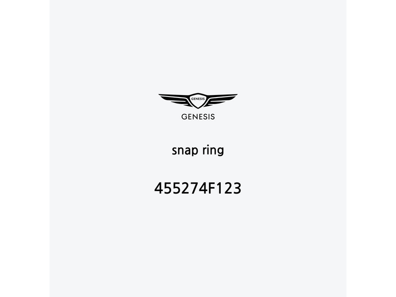 snap-ring-455274f123-fr