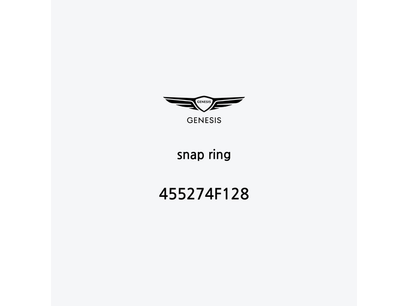 snap-ring-455274f128-it