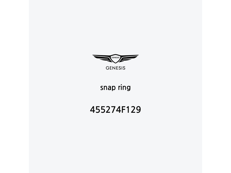 snap-ring-455274f129-it