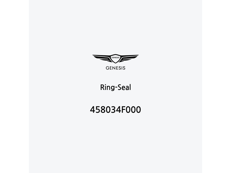 ring-seal-458034f000-it