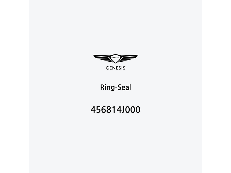 ring-seal-456814j000-es