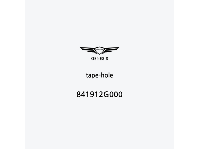 tape-hole-841912g000-pt