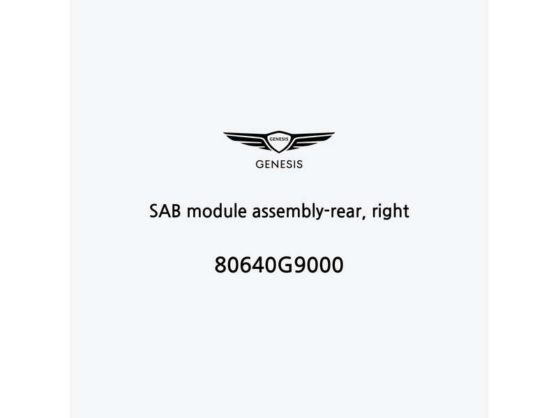 sab-module-assembly-rear-right-80640g9000-it