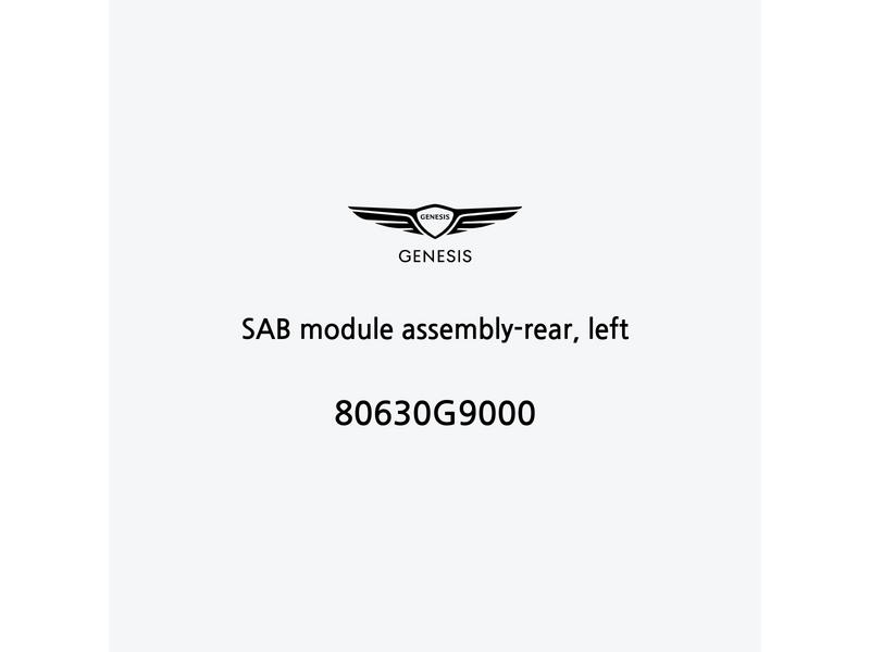 sab-module-assembly-rear-left-80630g9000-fr