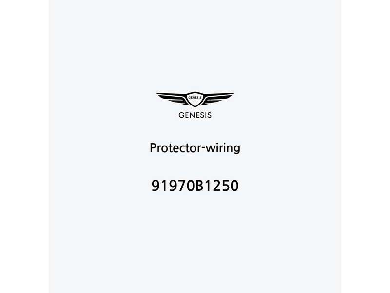 protector-wiring-91970b1250-de