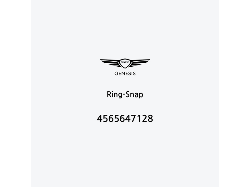 ring-snap-4565647128-fr