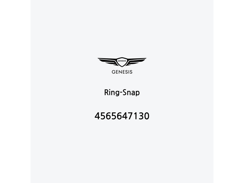 ring-snap-4565647130-fr