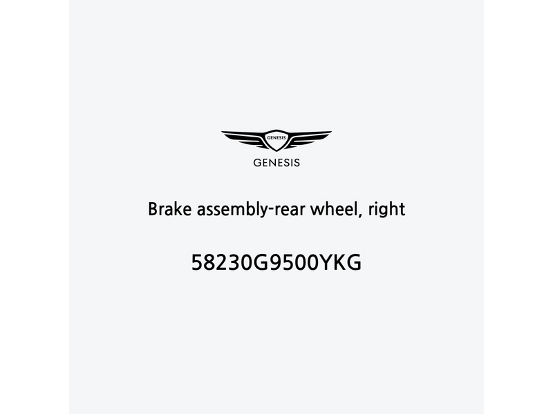 brake-assembly-rear-wheel-right-58230g9500ykg-de