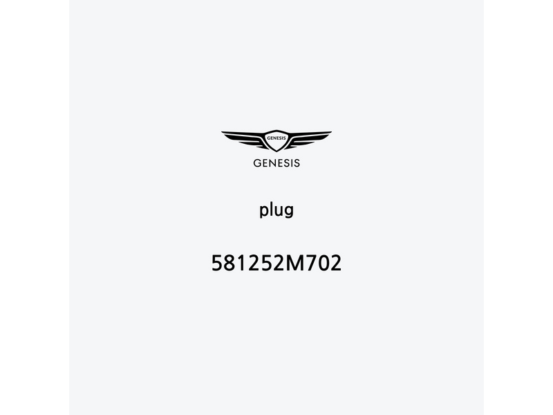 plug-581252m702-it