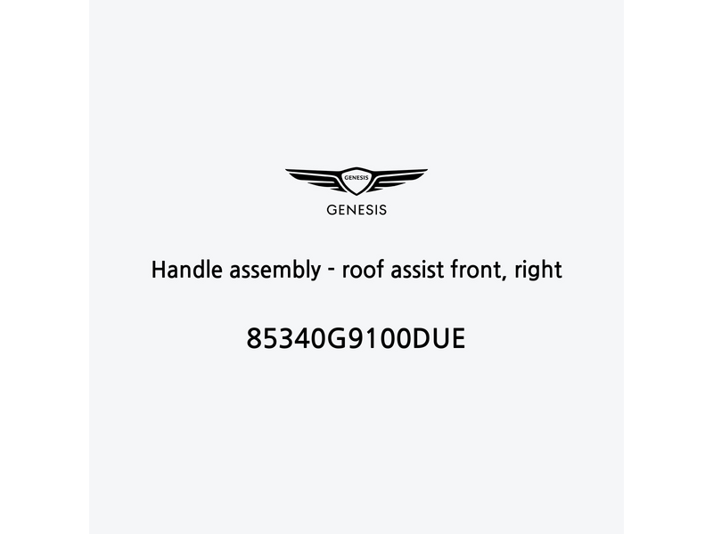 handle-assembly-roof-assist-front-right-85340g9100due-de