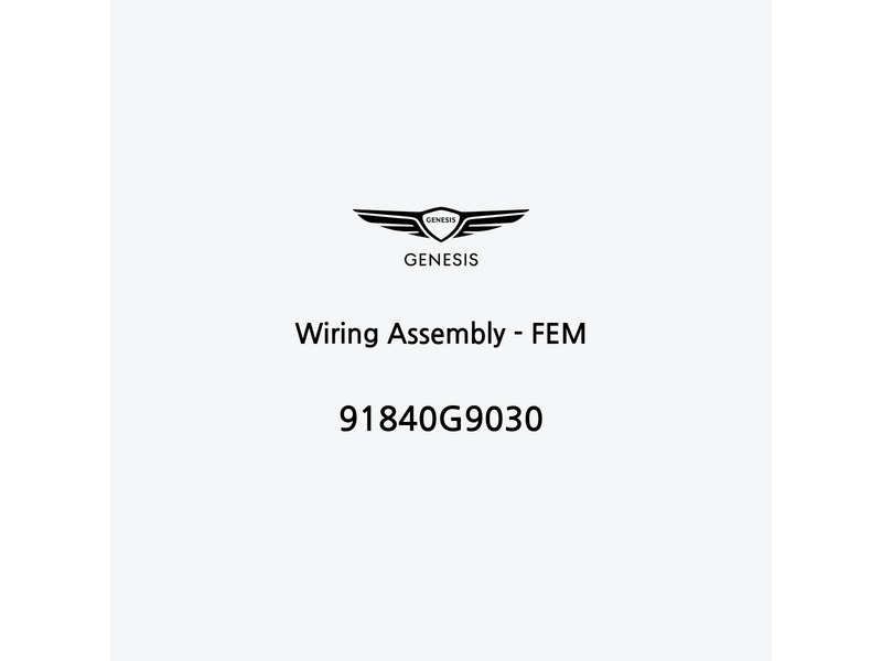 wiring-assembly-fem-91840g9030-ar