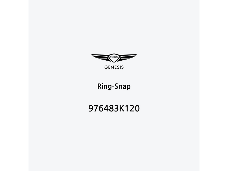 ring-snap-976483k120-es