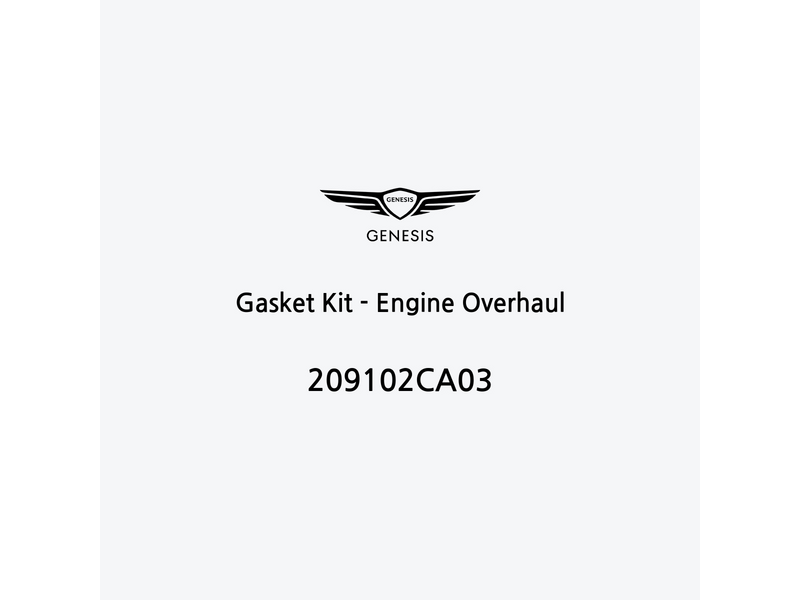 gasket-kit-engine-overhaul-209102ca03-fr