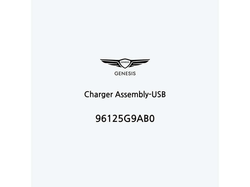 charger-assembly-usb-96125g9ab0-de