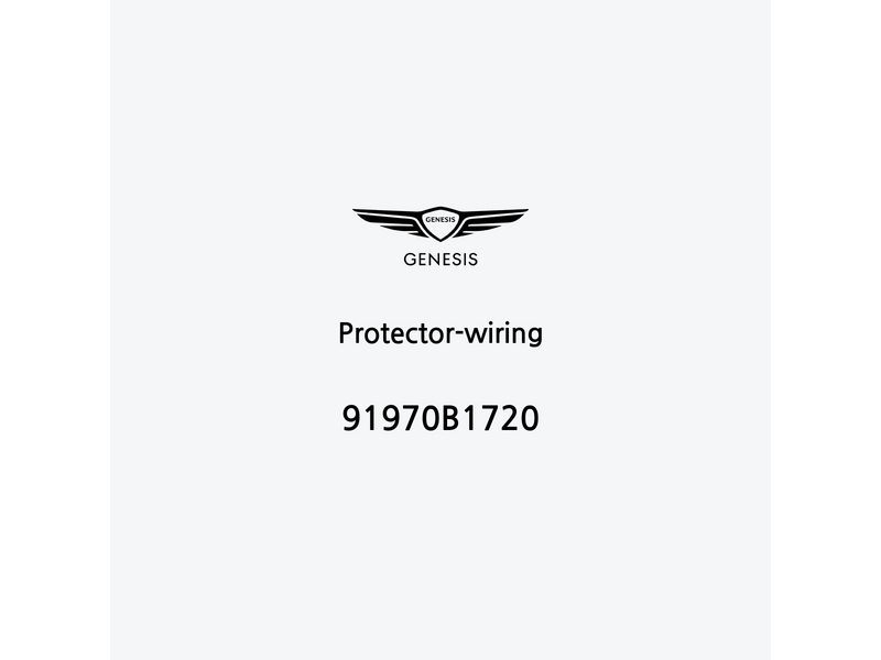 protector-wiring-91970b1720-pt