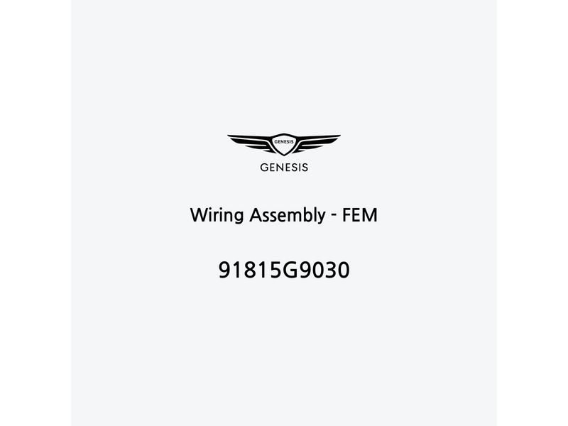 wiring-assembly-fem-91815g9030-es