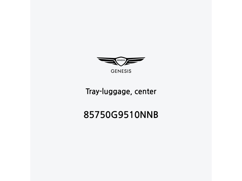 tray-luggage-center-85750g9510nnb