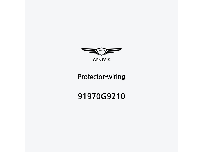 protector-wiring-91970g9210-es