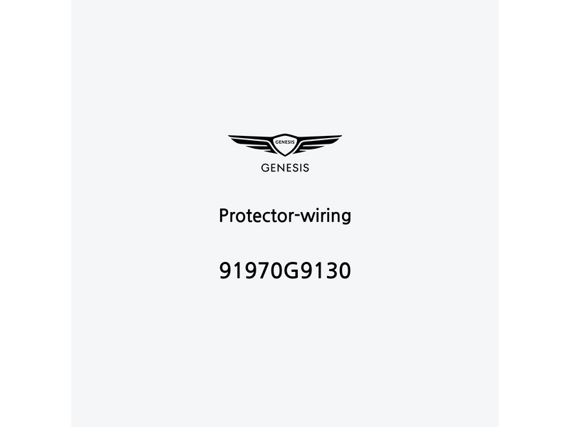 protector-wiring-91970g9130-es