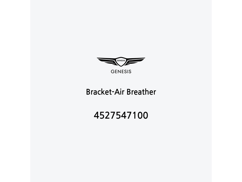 bracket-air-breather-4527547100-fr