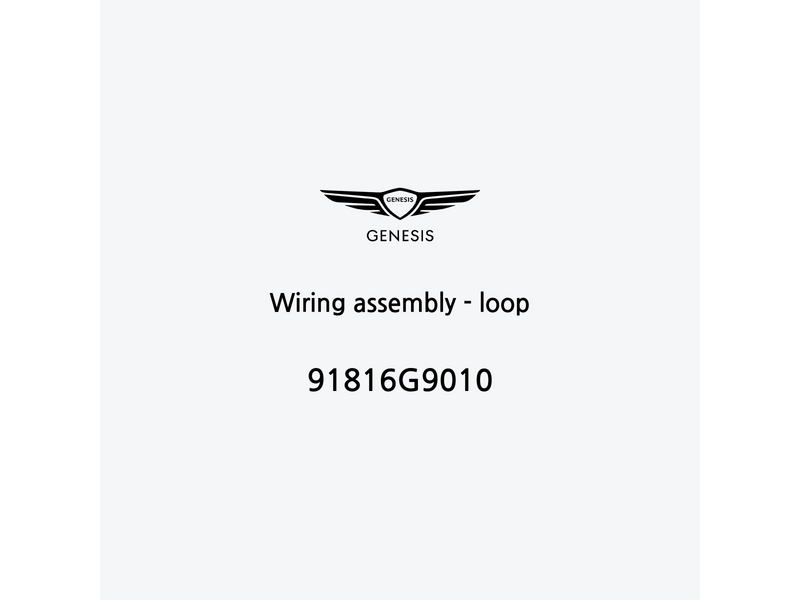 wiring-assembly-loop-91816g9010-it