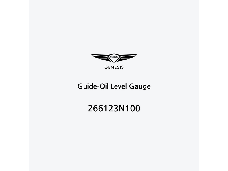 guide-oil-level-gauge-266123n100-fr