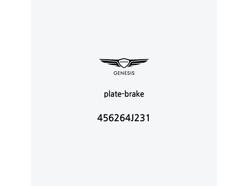 plate-brake-456264j231-fr