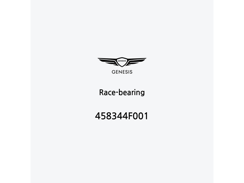 race-bearing-458344f001-es