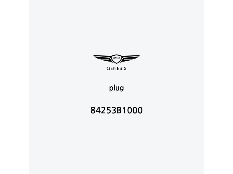 plug-84253b1000