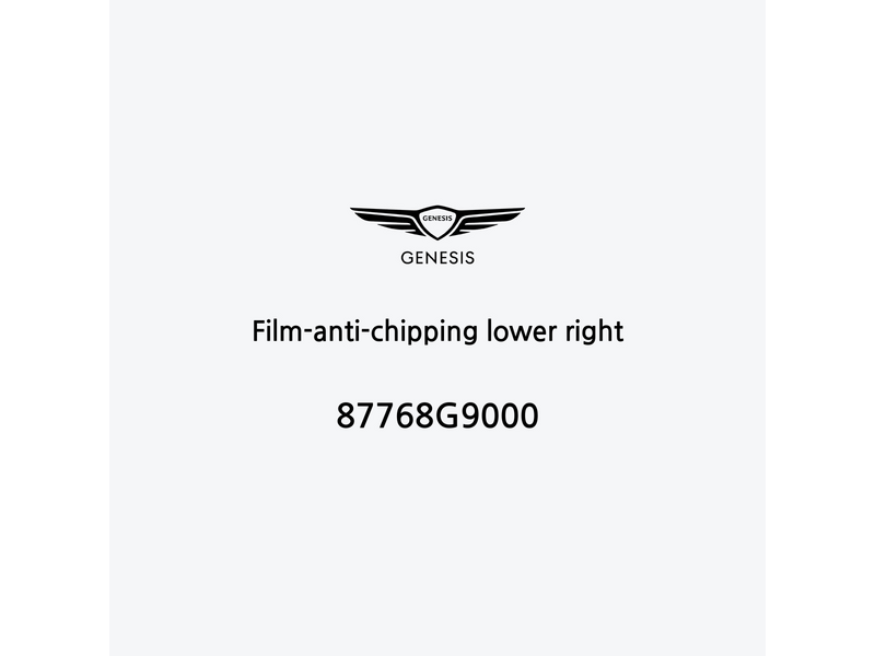 film-anti-chipping-lower-right-87768g9000-de