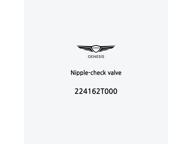 nipple-check-valve-224162t000-de