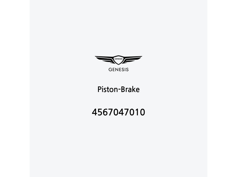 piston-brake-4567047010-it