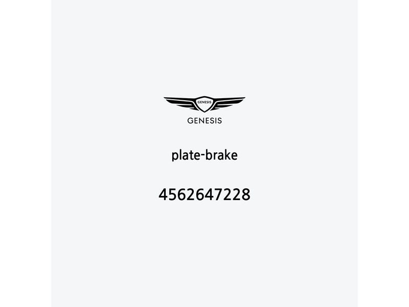 plate-brake-4562647228-es