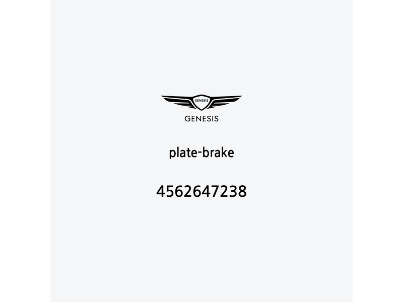 plate-brake-4562647238-fr