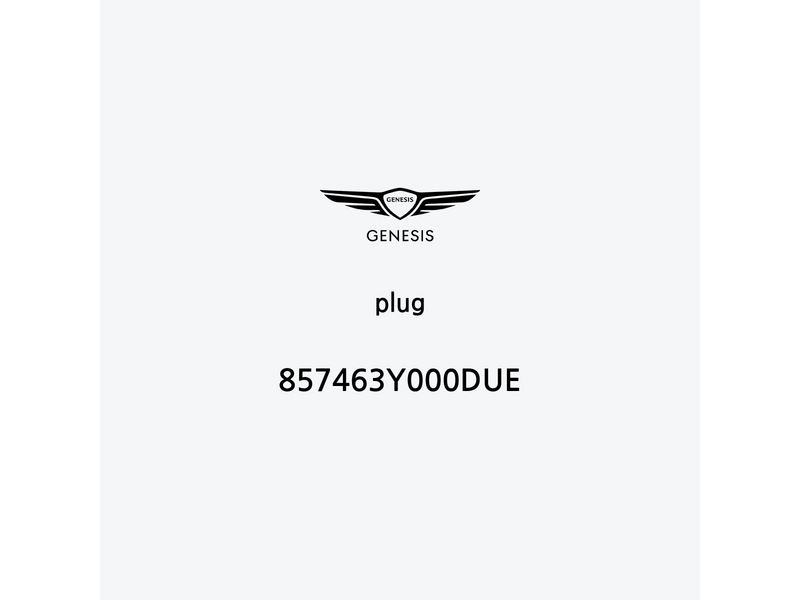 plug-857463y000due-ar