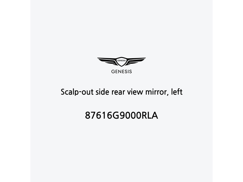 scalp-out-side-rear-view-mirror-left-87616g9000rla-ar