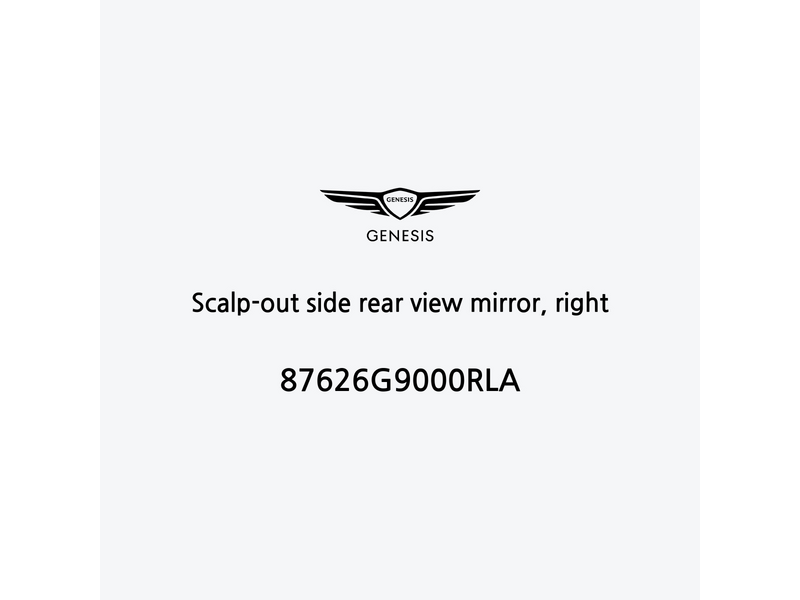 scalp-out-side-rear-view-mirror-right-87626g9000rla-ar