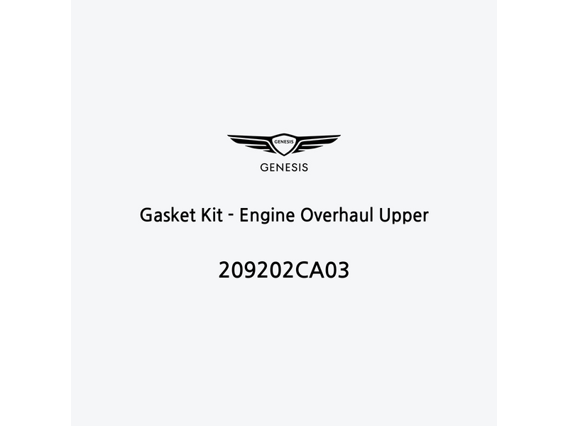 gasket-kit-engine-overhaul-upper-209202ca03-ja