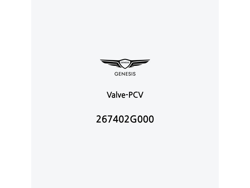 valve-pcv-267402g000-de