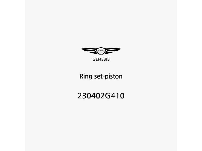 ring-set-piston-230402g410-es