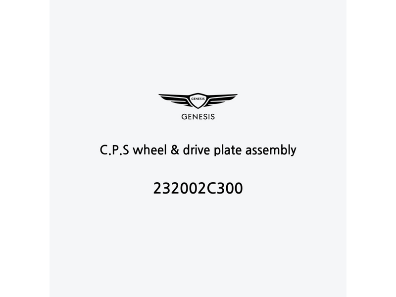 c-p-s-wheel-and-drive-plate-assembly-232002c300-pt