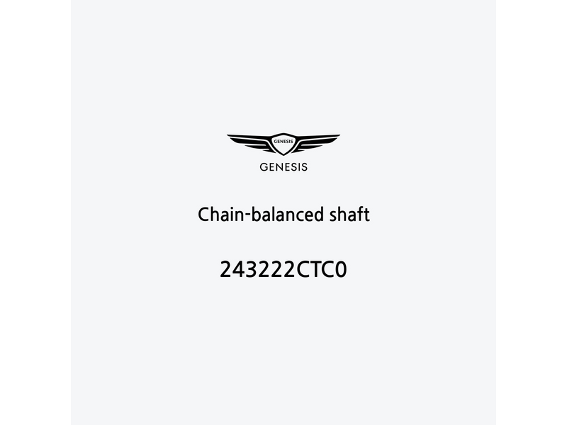 chain-balanced-shaft-243222ctc0-fr