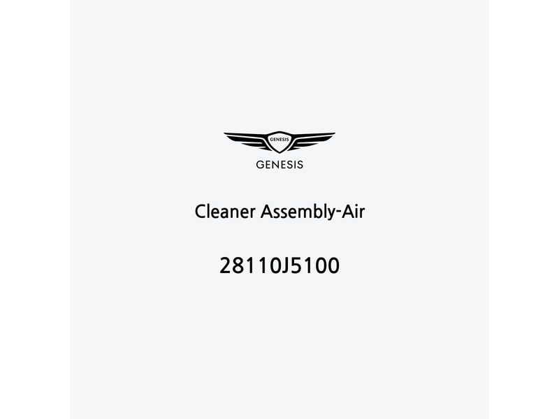 cleaner-assembly-air-28110j5100